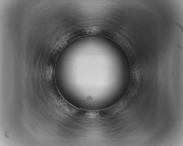 X0000102800660200808181202