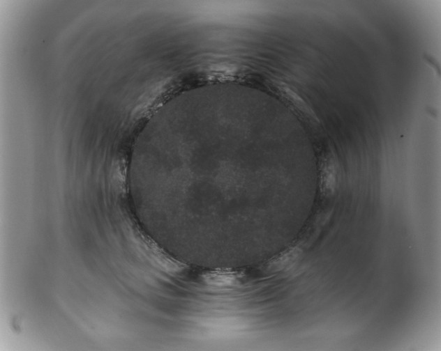 X0000102800661200808181202