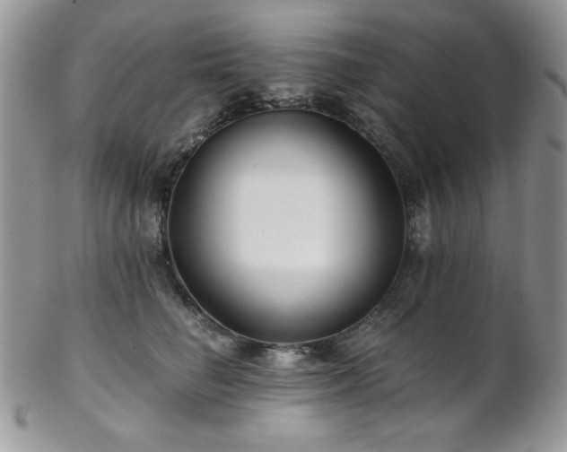 X0000102800662200808181202