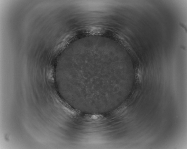 X0000102800663200808181202
