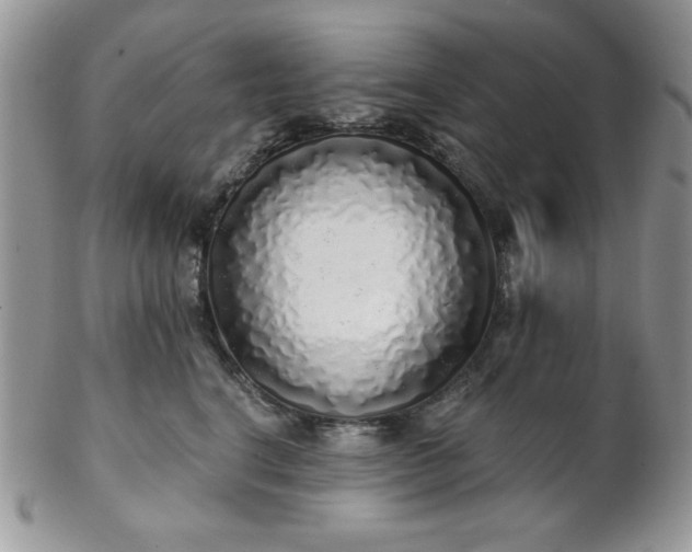 X0000102800664200808181202