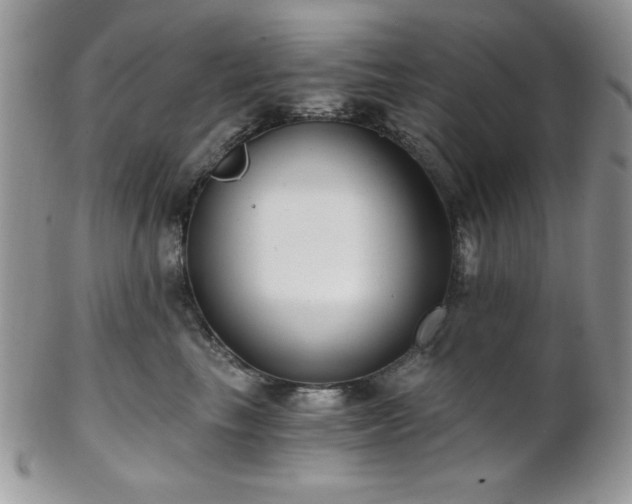 X0000102800665200808181202