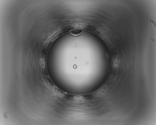 X0000102800666200808181202