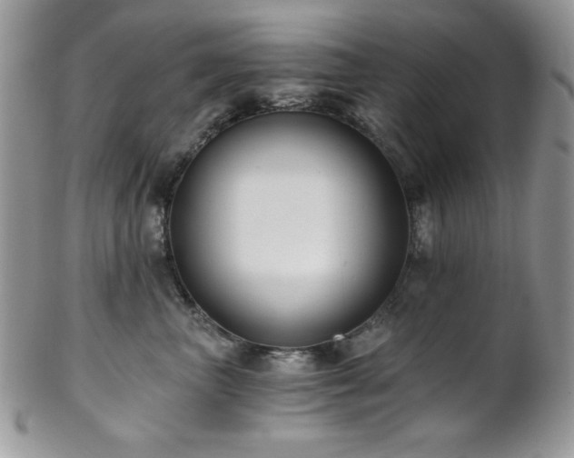 X0000102800667200808181202