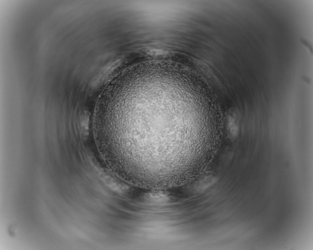 X0000102800668200808181202