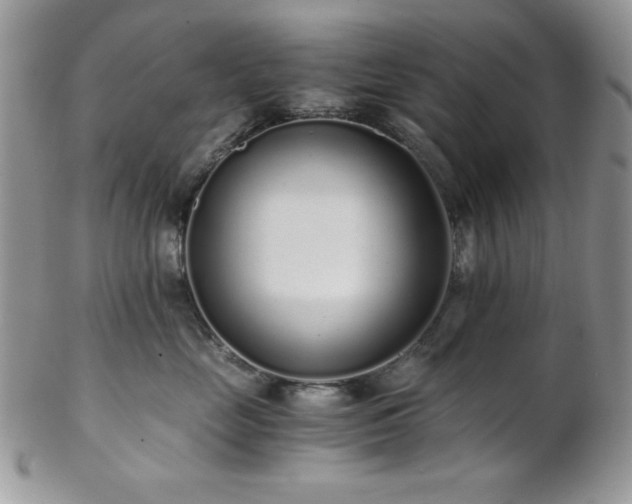 X0000102800669200808181202