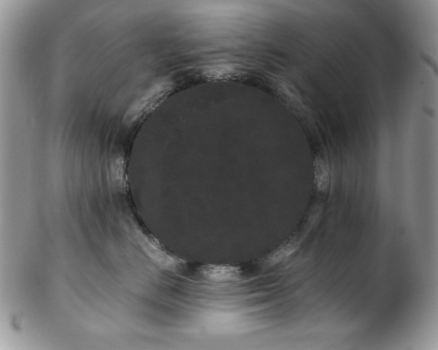 X0000102800670200808181202