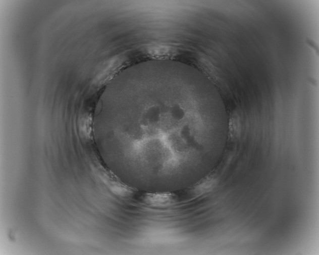 X0000102800671200808181202