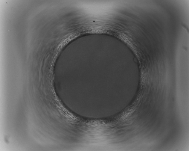 X0000102800673200808181201