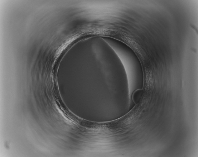 X0000102800674200808181201