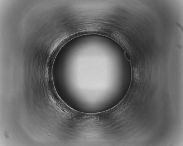 X0000102800676200808181201