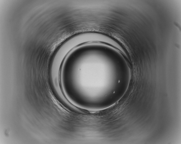 X0000102800677200808181201