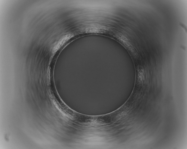 X0000102800678200808181201