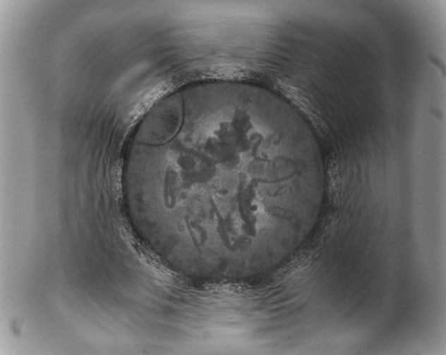 X0000102800679200808181201