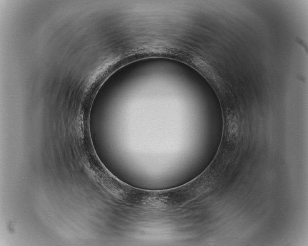 X0000102800680200808181201