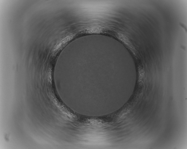 X0000102800681200808181201