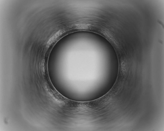 X0000102800682200808181201