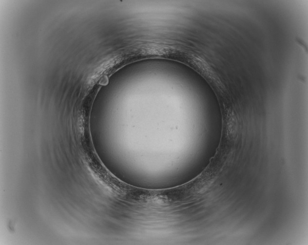 X0000102800683200808181201