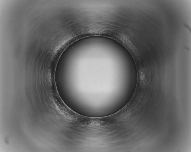 X0000102800684200808181201