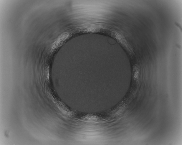 X0000102800685200808181201