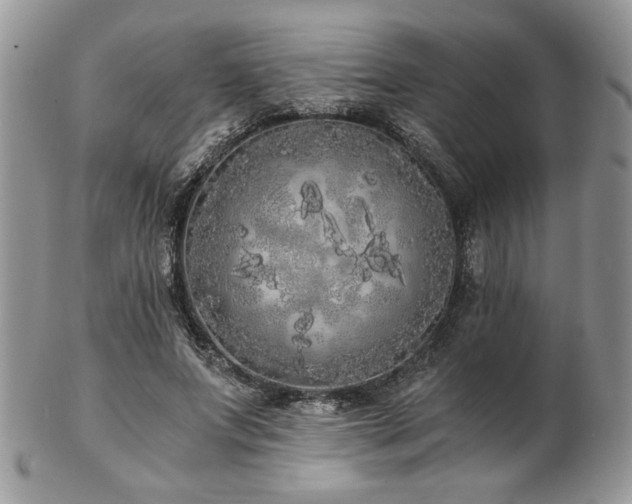 X0000102800687200808181201