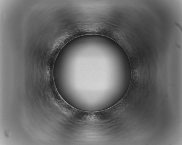 X0000102800688200808181201