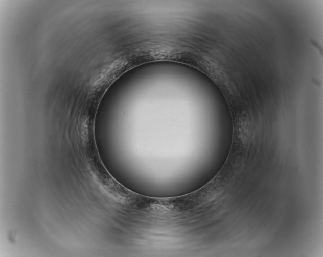 X0000102800690200808181201