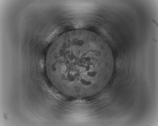 X0000102800691200808181201
