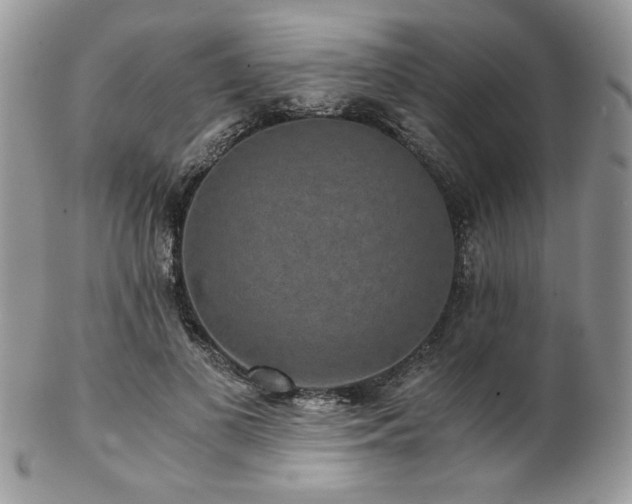 X0000102800693200808181201