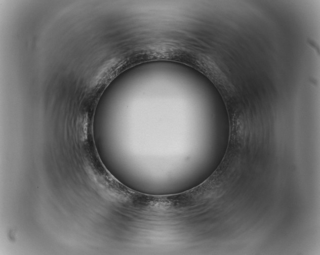 X0000102800694200808181201