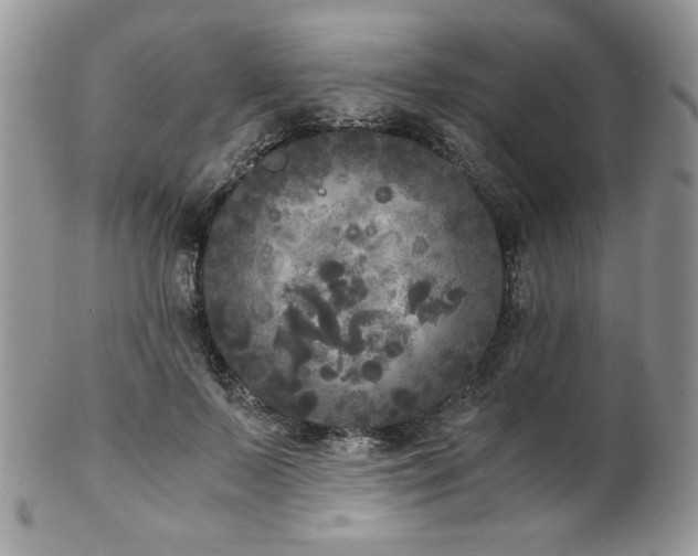 X0000102800695200808181201