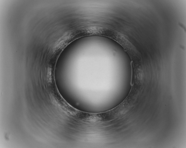 X0000102800696200808181201