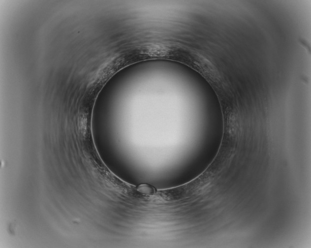 X0000102800697200808181201