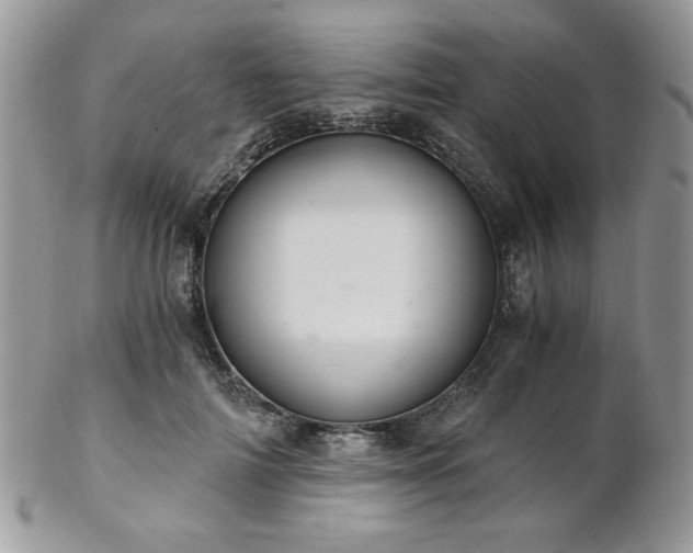 X0000102800698200808181201