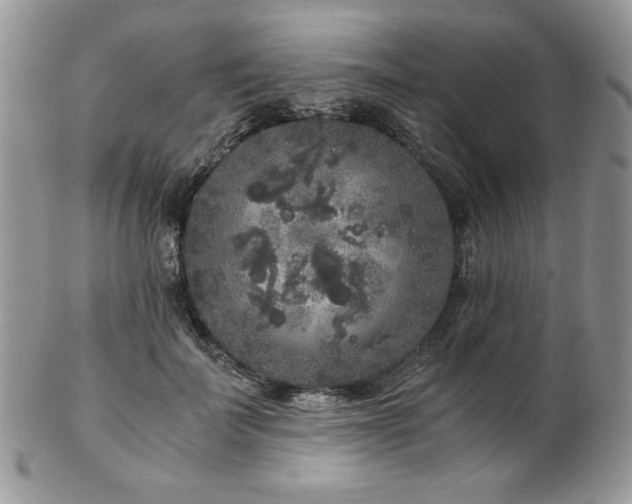 X0000102800699200808181201