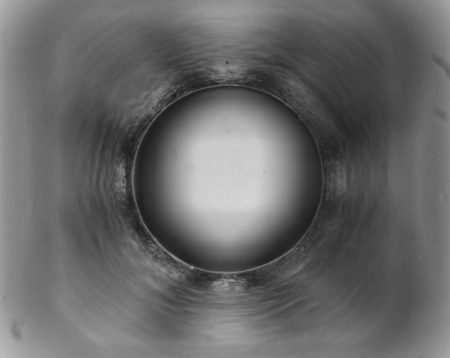 X0000102800700200808181201