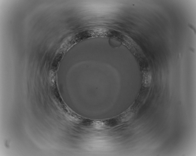 X0000102800701200808181201