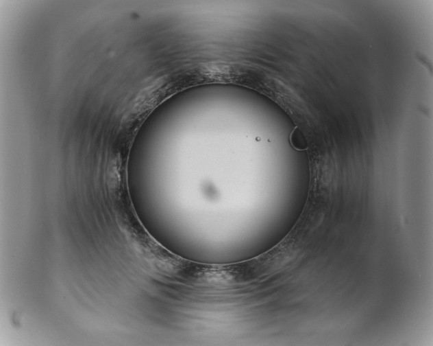 X0000102800702200808181201