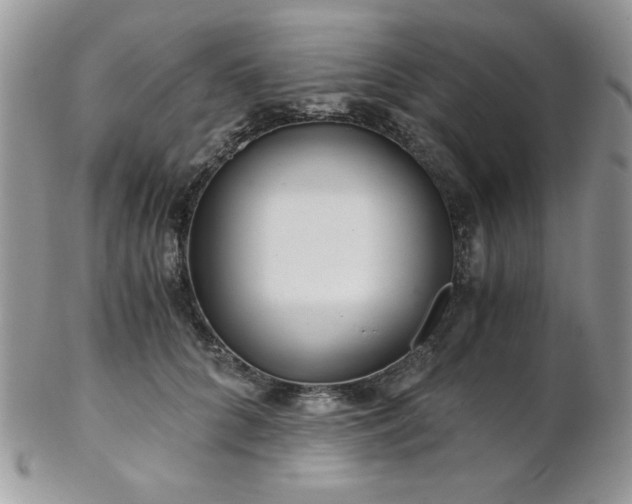 X0000102800704200808181201