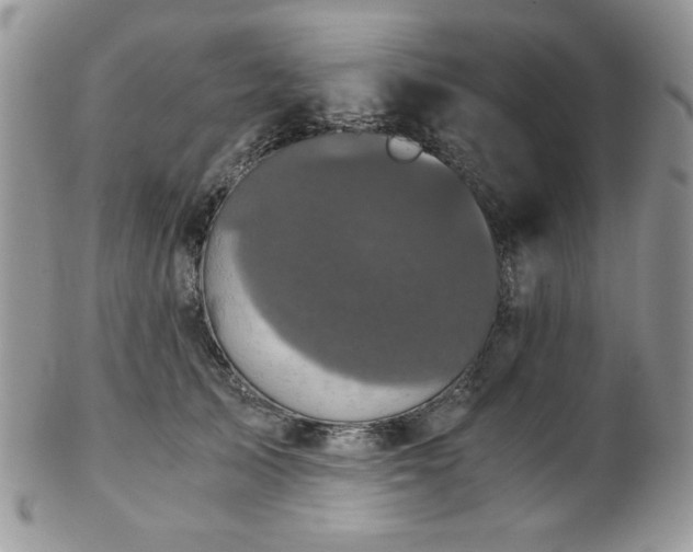 X0000102800705200808181201