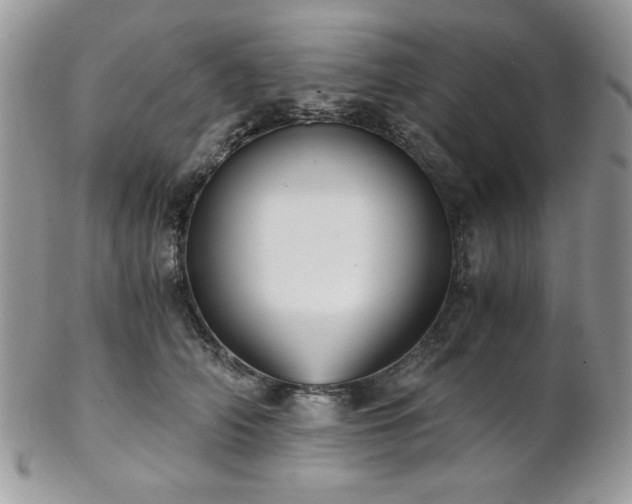 X0000102800706200808181201