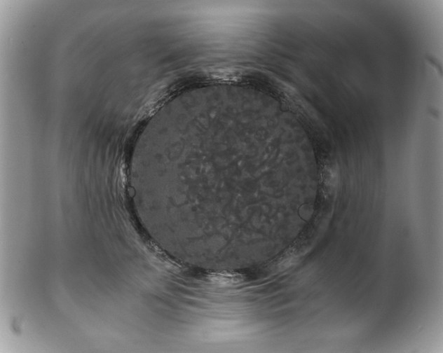 X0000102800707200808181201