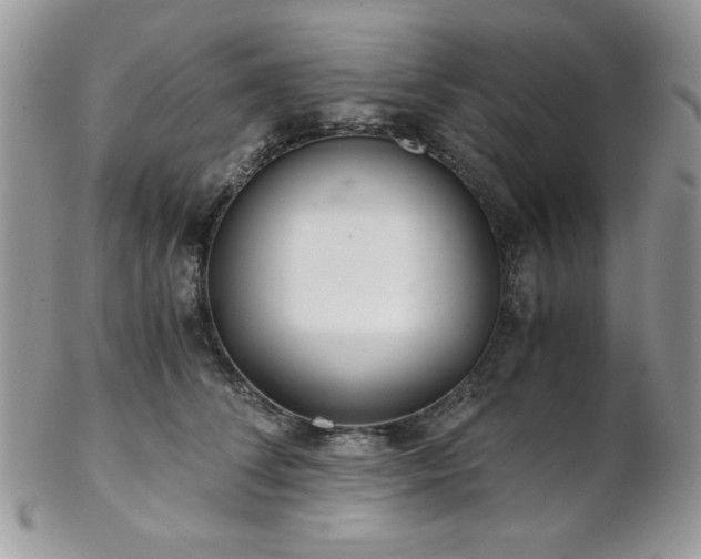 X0000102800708200808181201