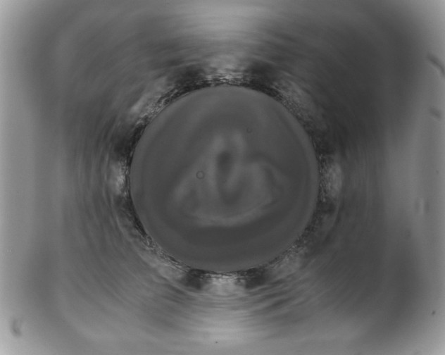 X0000102800709200808181201