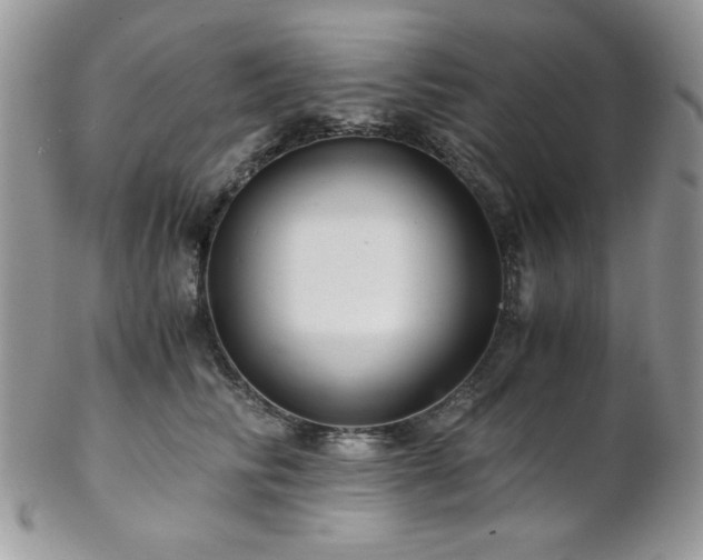 X0000102800710200808181201