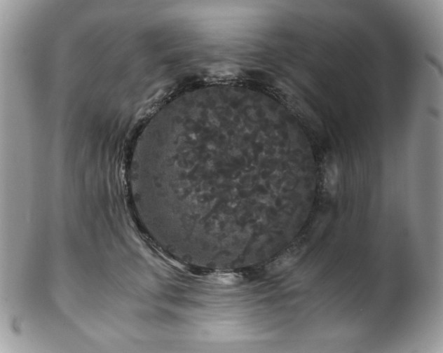 X0000102800711200808181201