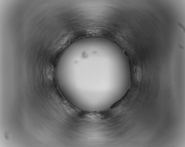X0000102800712200808181201