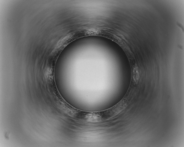 X0000102800714200808181201