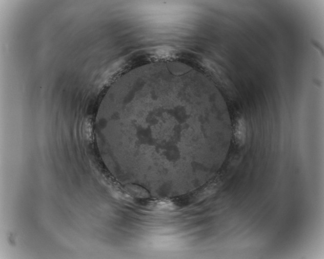 X0000102800715200808181201