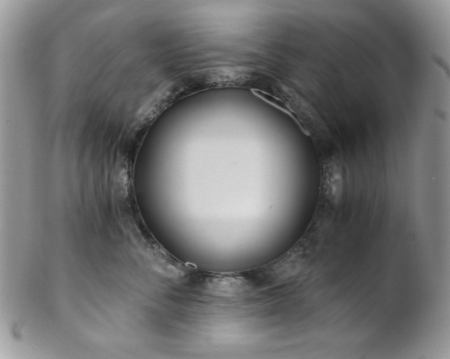 X0000102800716200808181201